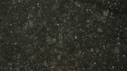 Ash-Black-scaled