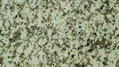 Bianco-Sardo-scaled