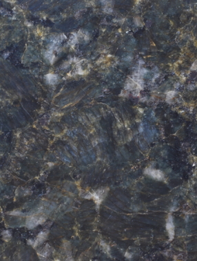 Green-Butterfly-scaled