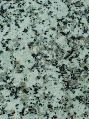 Platinum-White-scaled